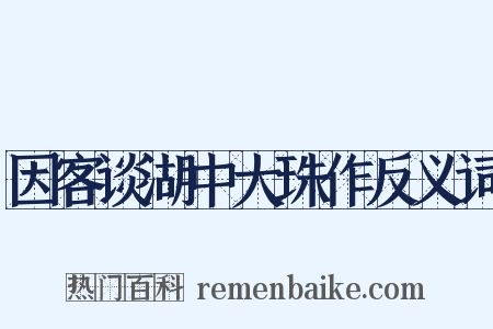 因客谈湖中大珠作反义词是什么意思的图片